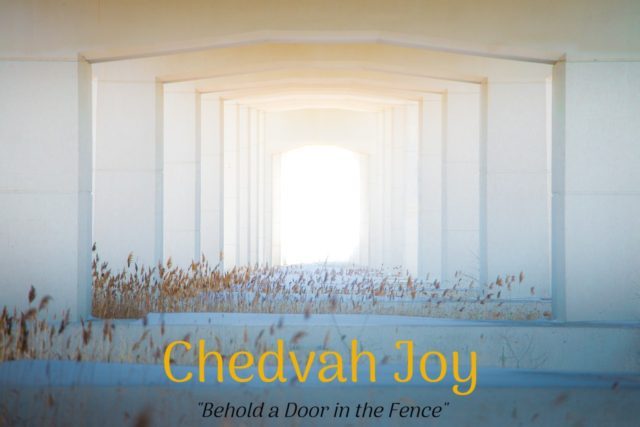 Chedvah Joy